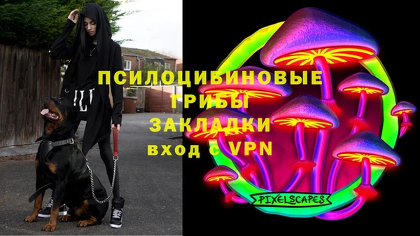 эйфоретик Богородицк